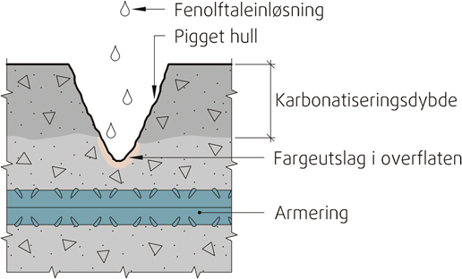 Fig. 351